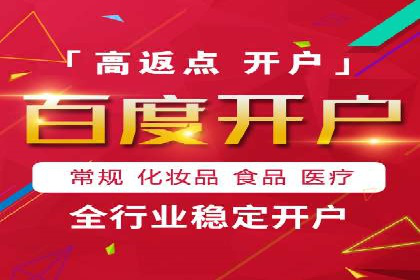 某行业SEM竞价专员的成功策略与经典案例